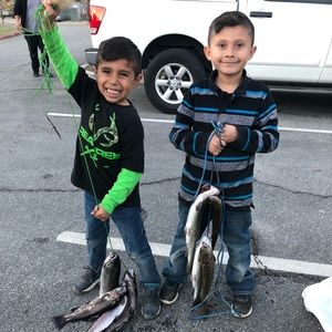 Meet your Posher, Marina